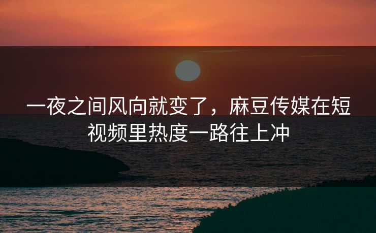 一夜之间风向就变了，麻豆传媒在短视频里热度一路往上冲