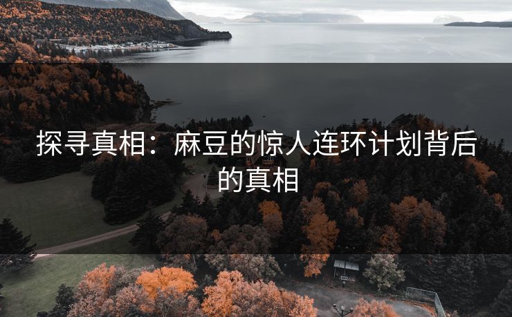 探寻真相：麻豆的惊人连环计划背后的真相