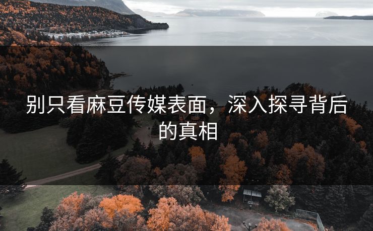 别只看麻豆传媒表面，深入探寻背后的真相